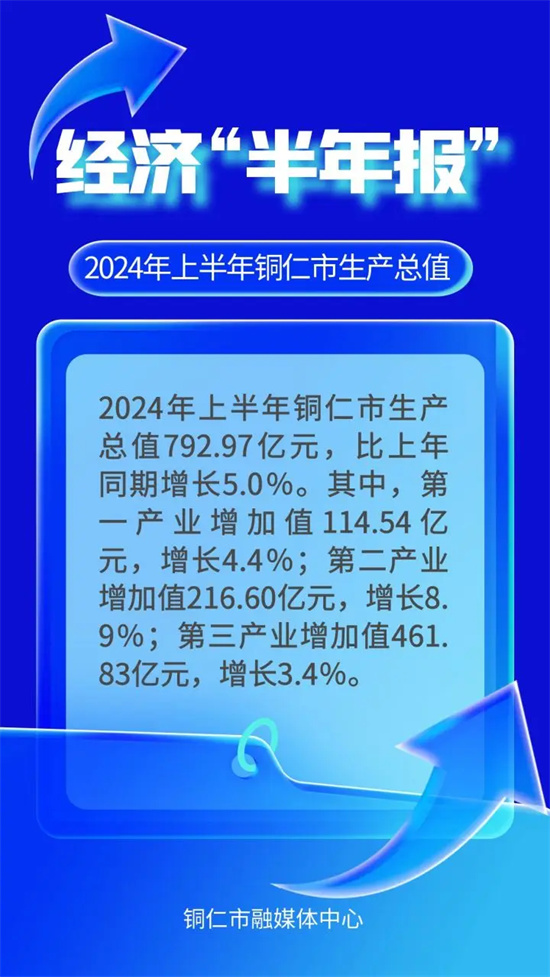 2024年香港6合资料大全查,详尽解答解释落实_XR55.792