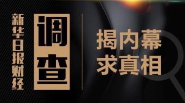 2024新奥门资料大全正版资料,典范解答解释落实_Holo45.625